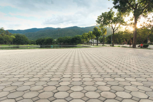 Best Local Driveway Pavers  in Grovetown, GA
