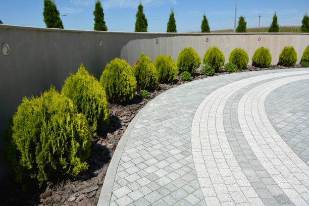 Best Decorative Driveway Pavers  in Grovetown, GA